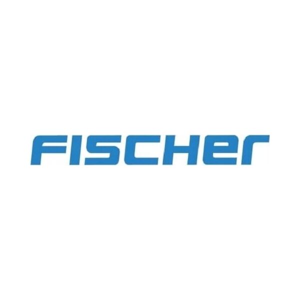 Fischer Medsraigtis 6,0 x 100 A2 Torx, 100vnt.