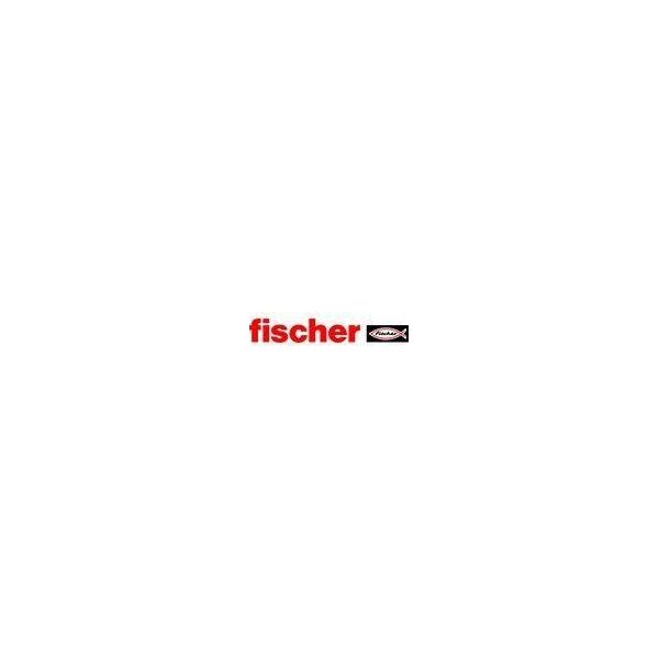 Fischer Ankerinis varztas FBN II 10/50 10x126 mm