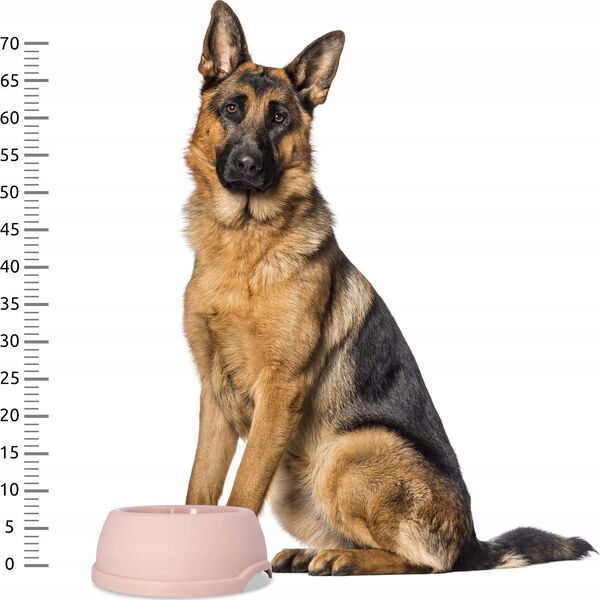 Barry King Miska plastikowa dla psów XL, 2,25L, beżowa, śr. 29cm,