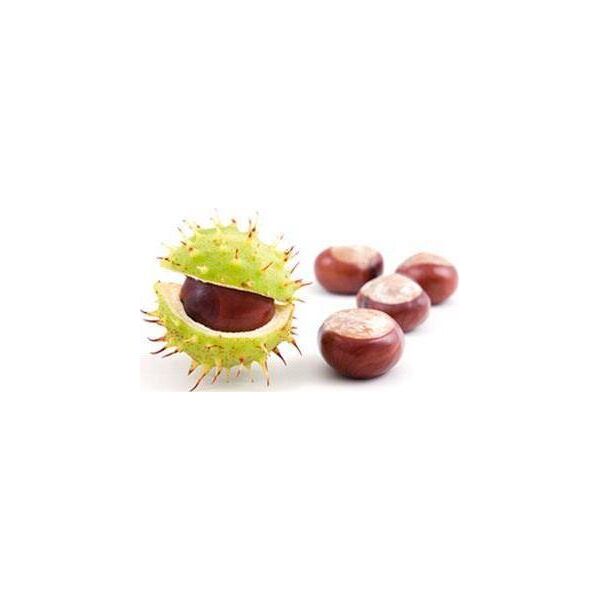 Nikel NIKEL, Krem rozjaśniający pod oczy z Kasztanowcem, 15ml