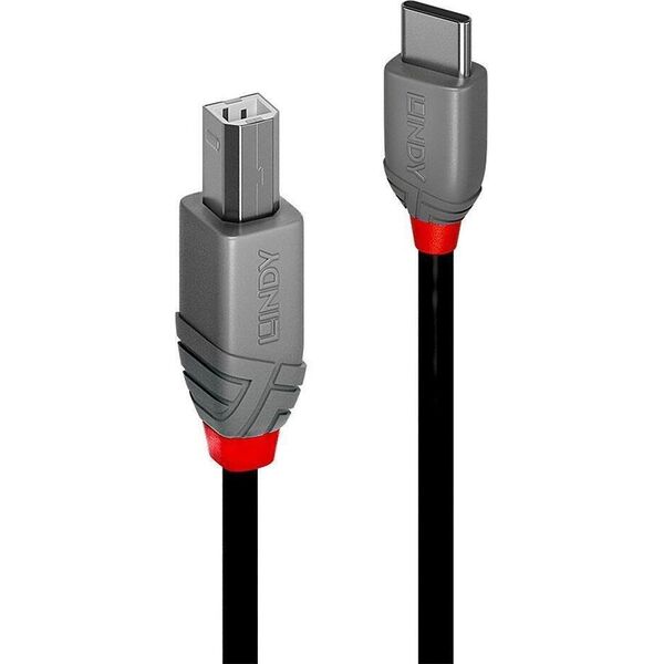 Kabel USB Lindy USB-C - USB-B 0.5 m Czarny (36940)
