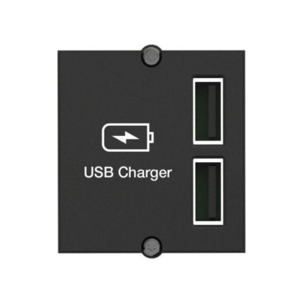 Bachmann Bachmann custom module USB double charger, charger ((917.224))