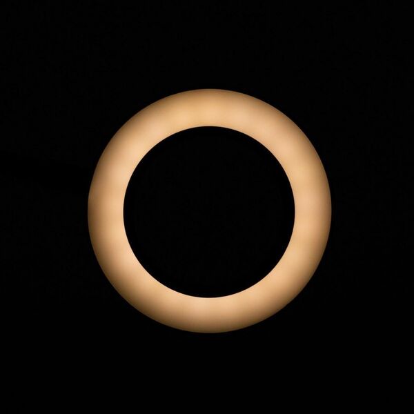 Activeshop LAMPKA LUPA LED SNAKE RING NA BIURKO CZARNA