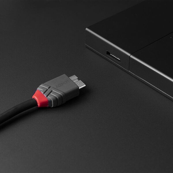Kabel USB Lindy USB-C - micro-B 3 m Czarny (36623)