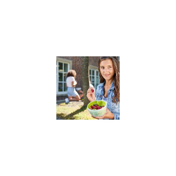 Emsa EMSA Clip&Go Fruit bowl 1,1 L