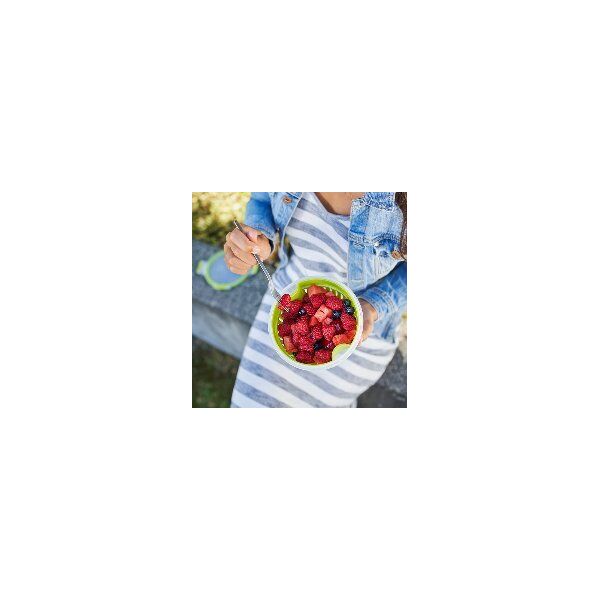 Emsa EMSA Clip&Go Fruit bowl 1,1 L