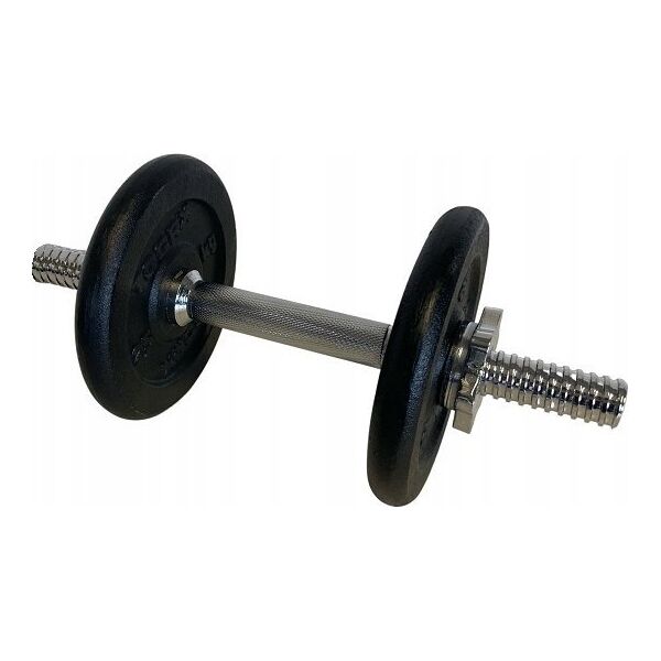 SKO Cast iron weight dumbbells set with case TOORX 0.75-15 kg