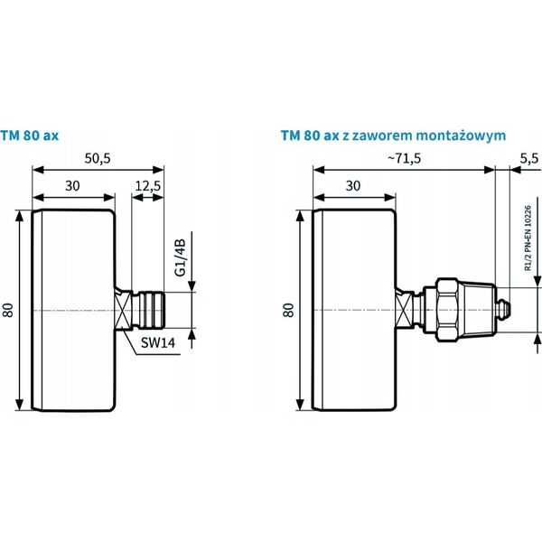 Afriso Termomanometr TM80 0-10bar 1/2 AX 20-120^C (S)A