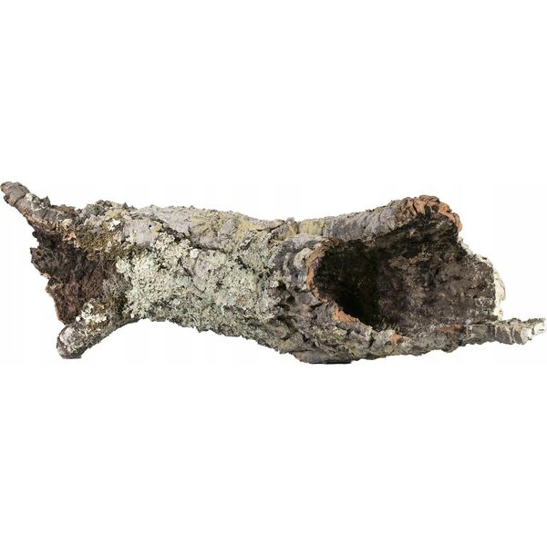 Terra Natura Dekoracja do terrarium tuby i płaty korkowe L-XL (kraj pochodzenia Portugalia), 1kg