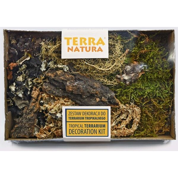 Terra Natura Zestaw dekoracji do terrarium tropikalnego