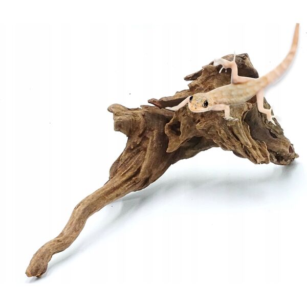 Terra Natura Szybko tonące drewno, S 20-30CM