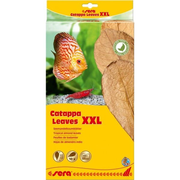 Sera Liście migdałecznika - Catappa Leaves XXL, 32 cm, 10szt/OPAK