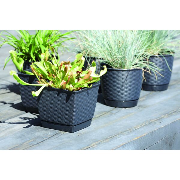Prosperplast Doniczka kwadratowa RATOLLA SQUARE DRLK250-S433, Kolor Antracyt, Prosperplast, Wymiary 24x24x22 cm