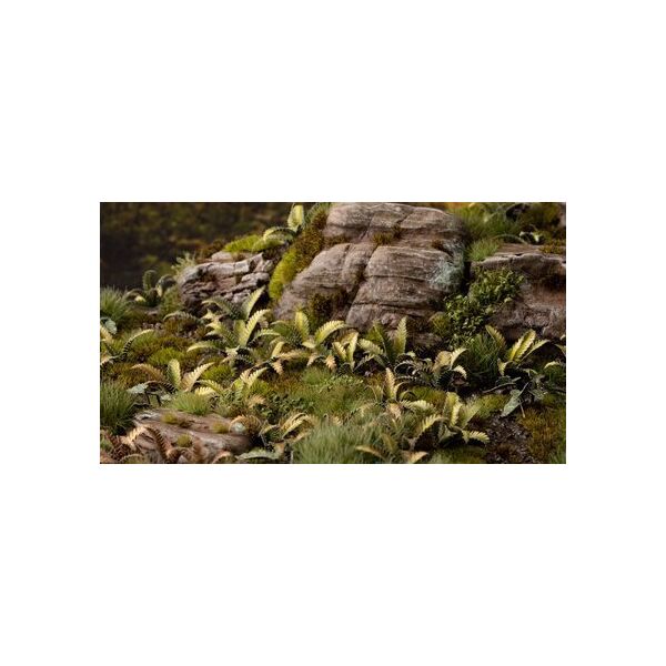 Gamers Grass Gamers Grass: Laser Plants -  Deer Fern - Podrzeń żebrowiec