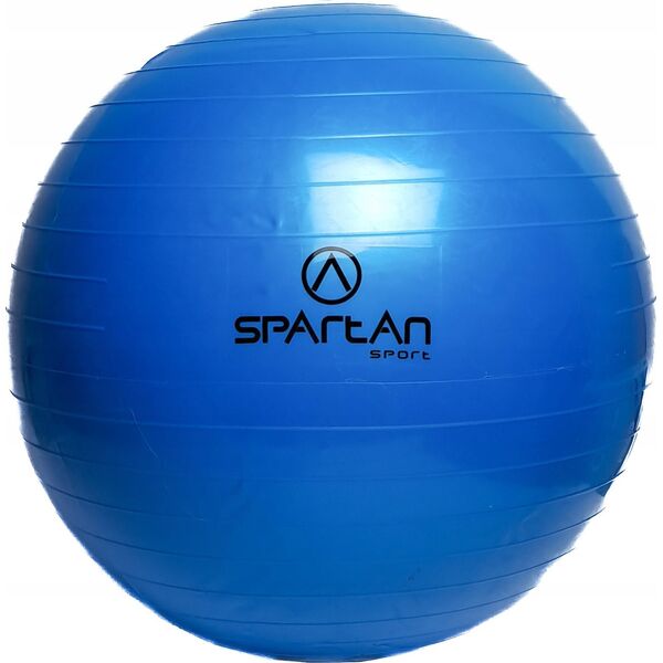 Spartan Piłka gimnastyczna SPARTAN 55 cm
