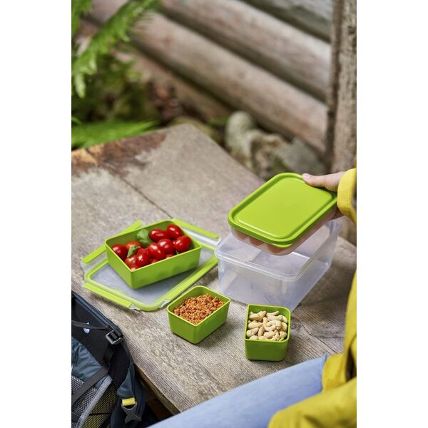 Emsa Emsa CLIP & GO Lunchbox XL, lunch box (green/transparent, with inserts)