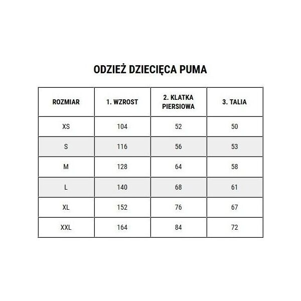 Puma Bluza dla dzieci Puma teamGOAL 23 Casuals Hoody Jr czarna 656711 03 140
