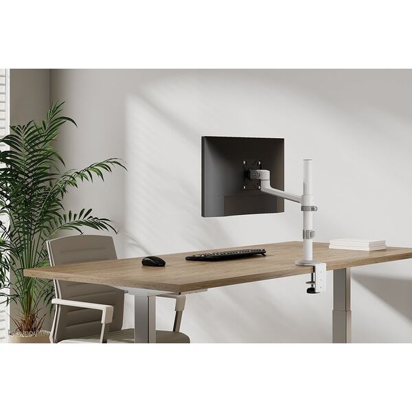 Neomounts Uchwyt biurkowy na monitor 17" - 27" (DS60-425WH1)