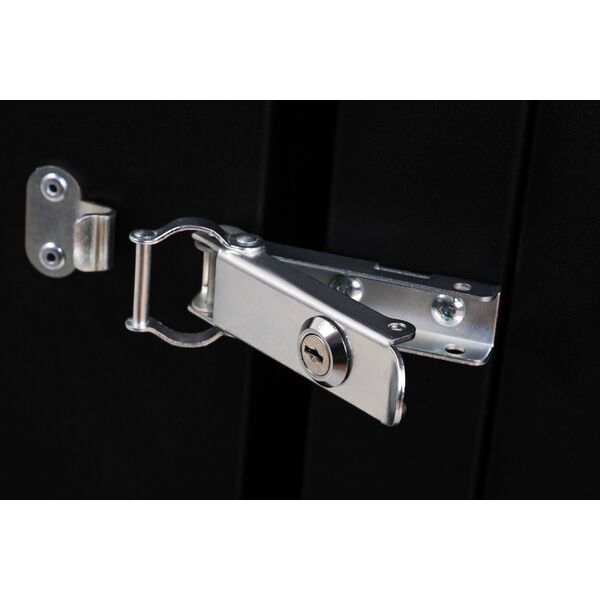 Szafa Digitus Rack Digitus wall mount housing Unique 12HE black