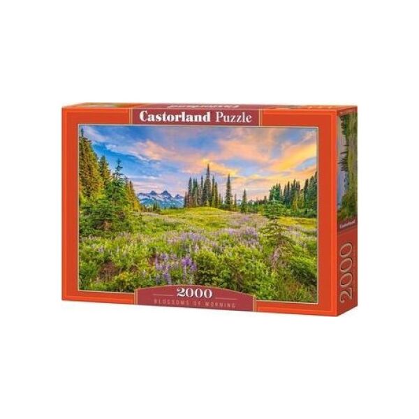 Castorland Puzzle 2000 Blossoms of Morning