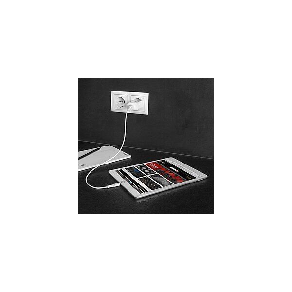 Ładowarka Lindy CHARGER WALL 18W/73412 LINDY
