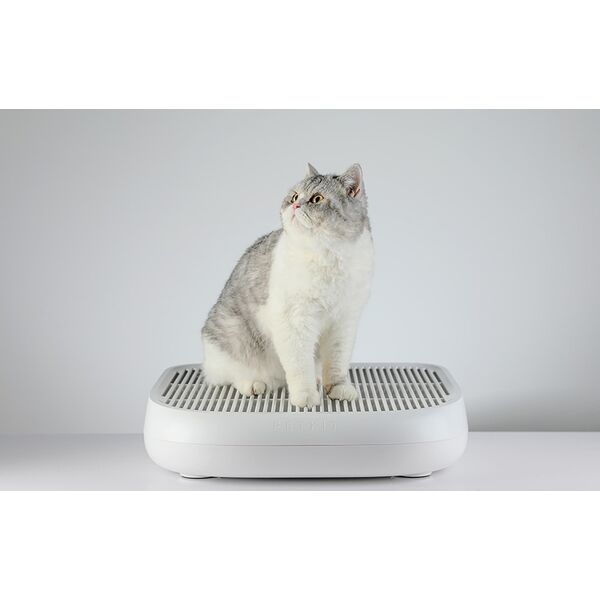 Petkit Schody do kuwet PetKit