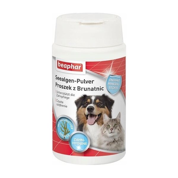 Beaphar BEAPHAR Dental Proszek z brunatnic do jamy ustnej - 75 g