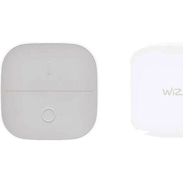 WiZ WiZ | Portable Button