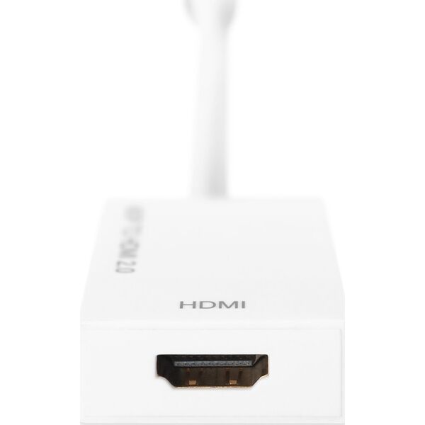 Adapter AV Digitus Adap Digitus Activ mini DPtoHDMI Typ A St/Bu, 0,2m