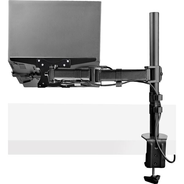 Adapter USB StarTech ZUB StarTech Monitor und Laptop Halterung