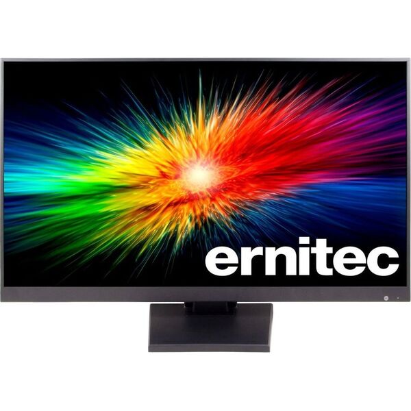 Ernitec 22" Surveillance monitor for