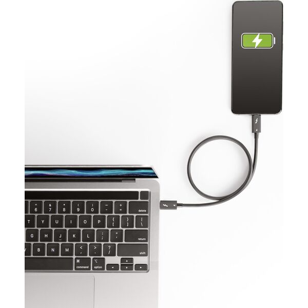 Kabel USB StarTech Thunderbolt - Thunderbolt 0.5 m Czarny (TBLT4MM50CM)