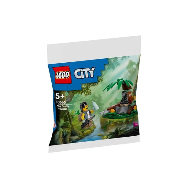 LEGO City Spotkanie z małym gorylem