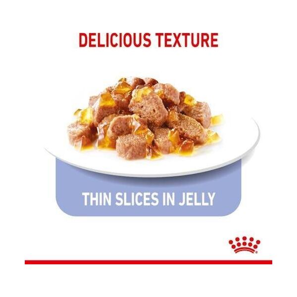 Royal Canin Appetite Control Care 85g