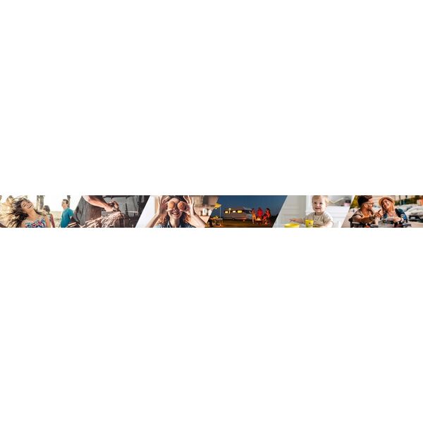 Blaupunkt SIEKIERA UNIWERSALNA 2350G, AX2350PRO