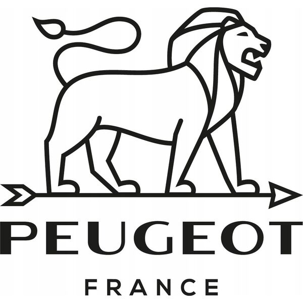 Młynek do przypraw Peugeot Peugeot Fidji Salzmühle 15 cm Graphit aus Holz und Edelstahl