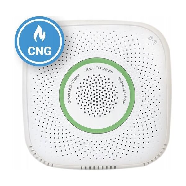 Shelly Shelly Gas CNG, gas detector