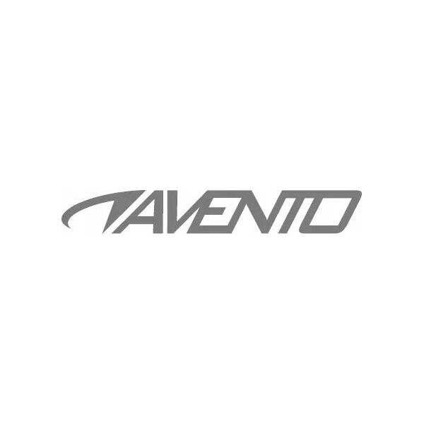 Avento Stalo teniso kamuoliukai AVENTO 46TR 60vnt