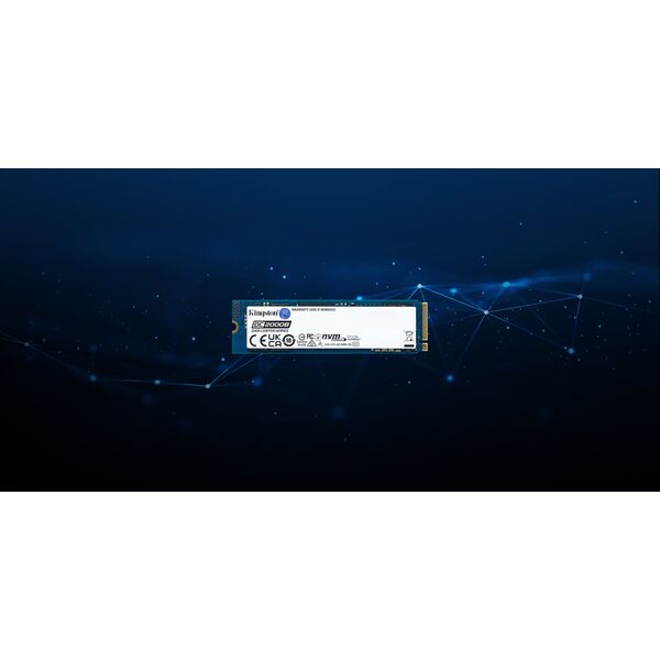 Dysk serwerowy Kingston DC2000B 960GB PCI-E x4 Gen 4 NVMe  (SEDC2000BM8/960G)