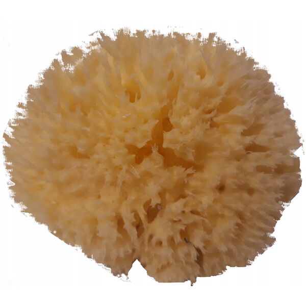 Babu Bab?(r) sponge natural nr.12