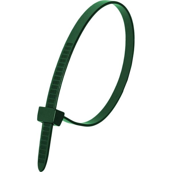 Dedra Nylonowe opaski zaciskowe zielone 2,5x200mm (100szt.)