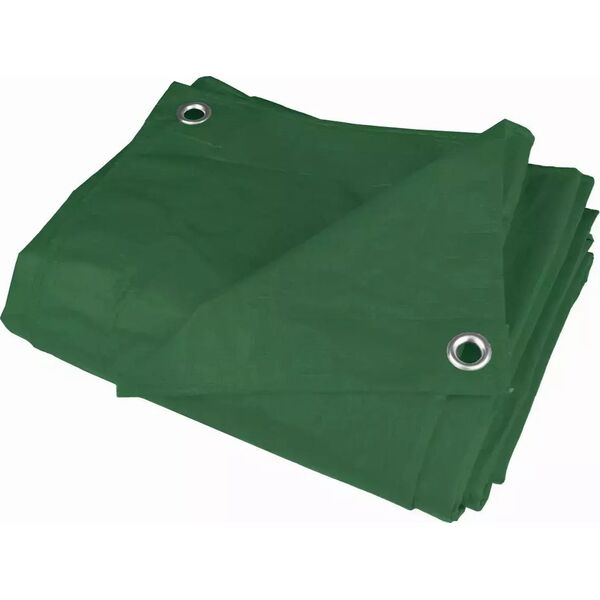 Dedra Plandeka 6x10m, 80g/m2 zielona