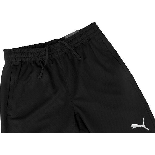 Puma Spodnie męskie Puma teamFINAL Training czarne 657380 03 L