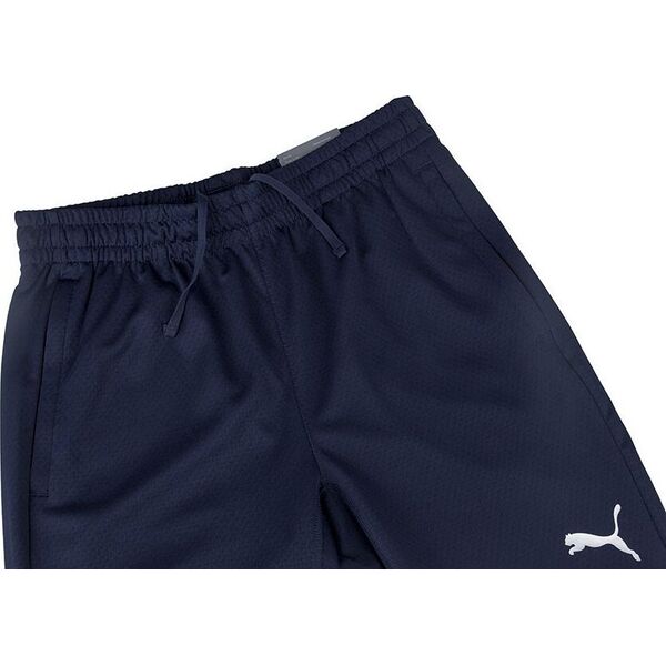 Puma Spodnie męskie Puma teamFINAL Training granatowe 657380 06 L
