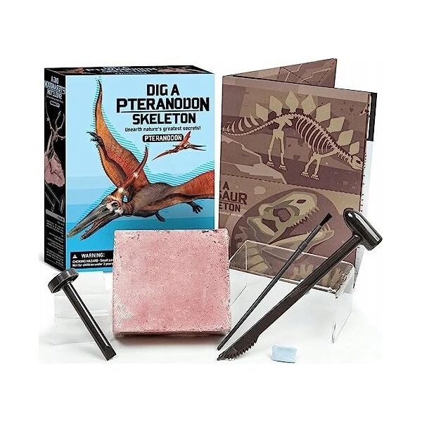 4M 4M craft kit "Dig a Pteranodon skeleton"