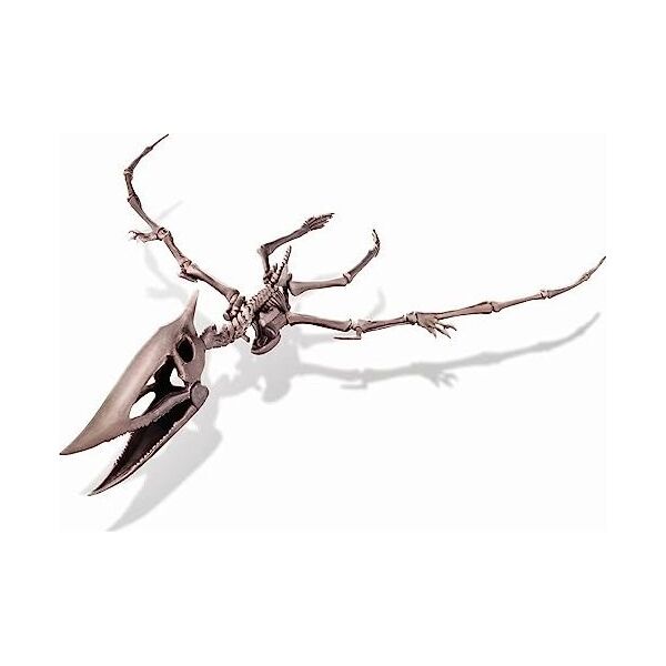4M 4M craft kit "Dig a Pteranodon skeleton"