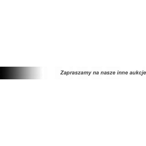 Geko Komplet cylinder + tłok do Partnera 351/352/370/401 41mm(20)