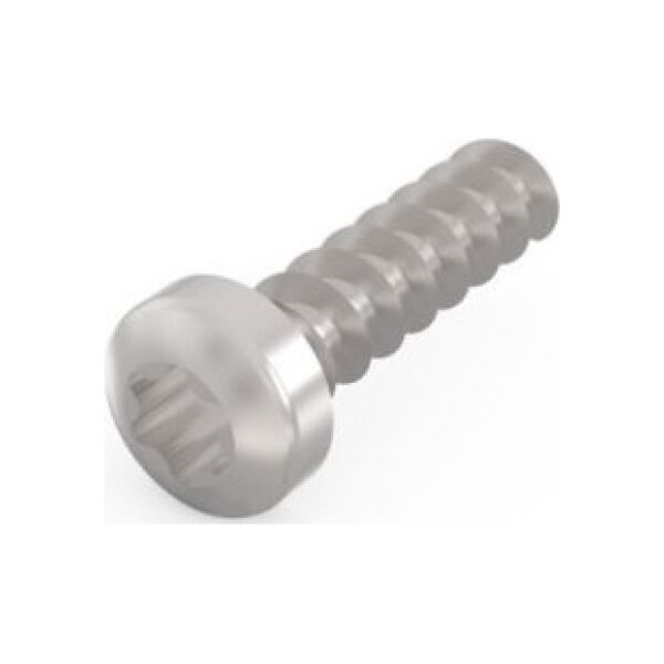 SCHROFF SCHROFF śruba głowicy cylindra, Torx,  2,5 mm, długość 9,3 mm, gwintowana, St ocynkowana