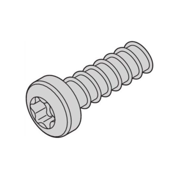 SCHROFF Śruba SCHROFF do głowicy cylindrów, Torx, M2,5 x 7,3 mm, samogwintująca, średnia ocynkowana
