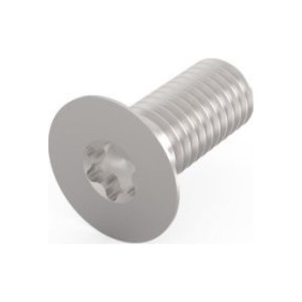 SCHROFF Śruba SCHROFF z łbem stożkowym, Torx M5x12 mm, stal, ocynkowana, 100 szt.